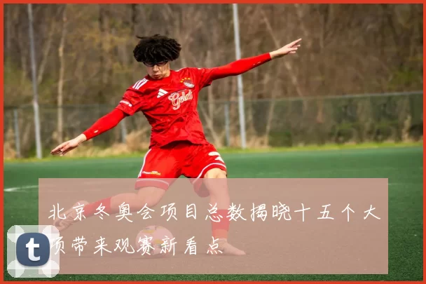 北京冬奥会项目总数揭晓十五个大项带来观赛新看点