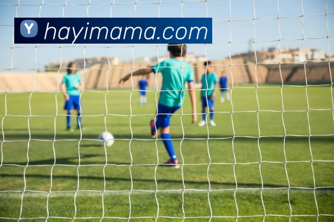 星空体育官网平台生态图